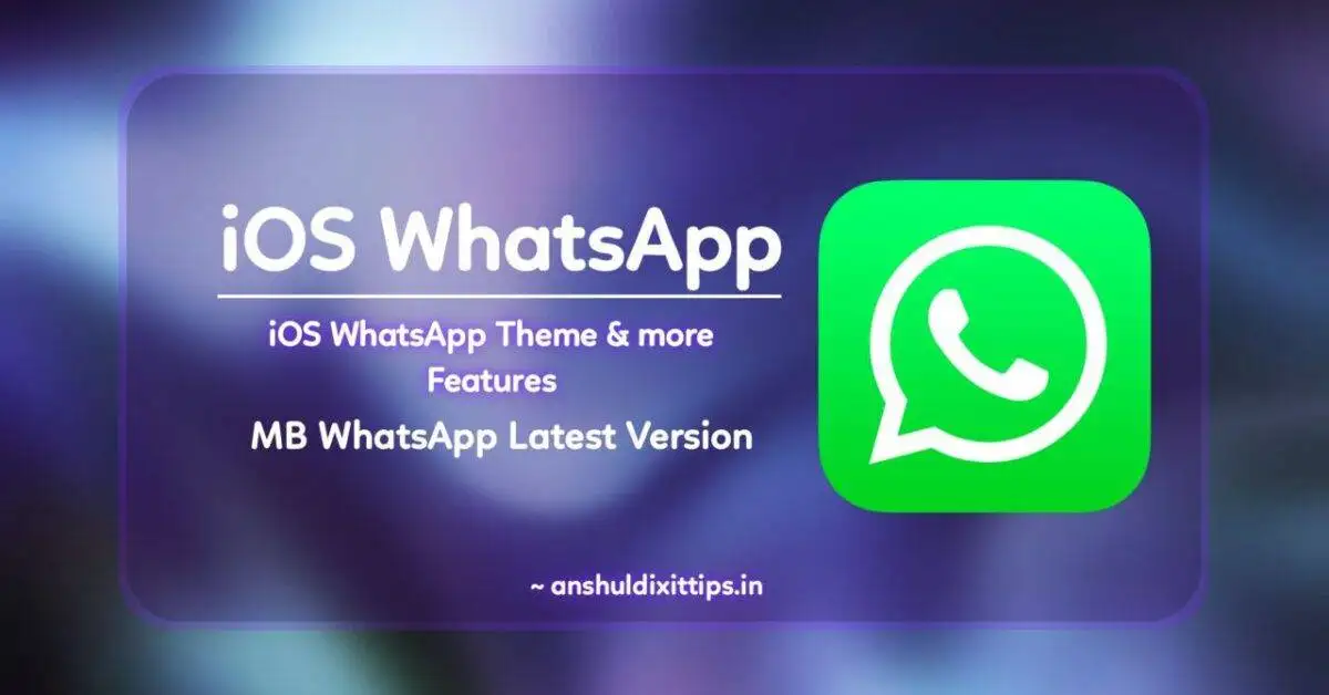 io whatsapp